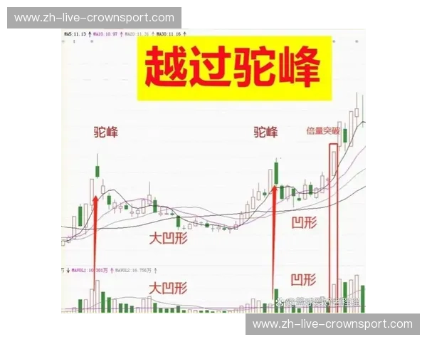 赔率背后的智慧:如何通过精确分析赢得每一场竞争 赔率背后的智慧:如何通过精确分析赢得每一场竞争